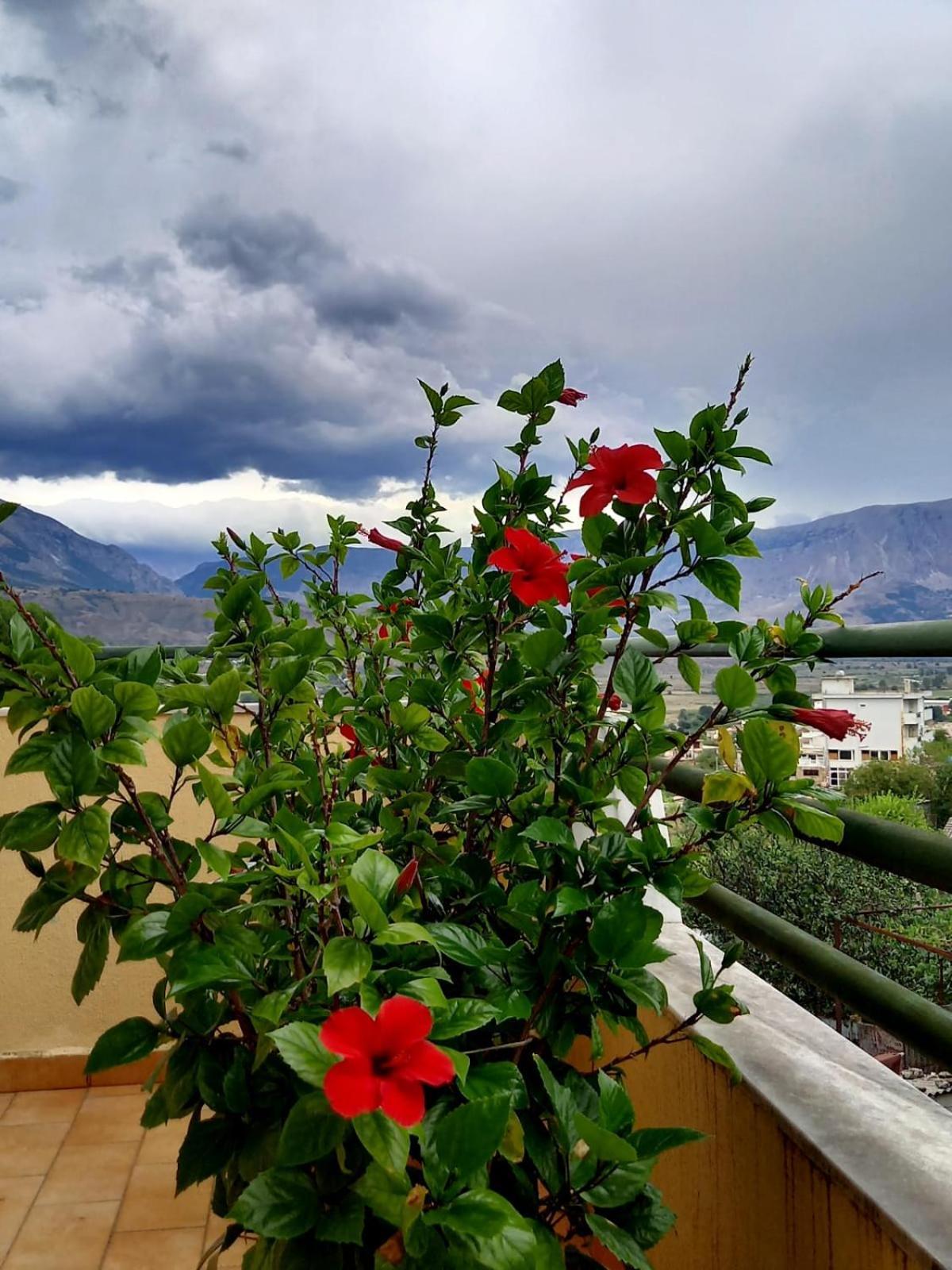 Gjirokastër Guesthousemantho מראה חיצוני תמונה