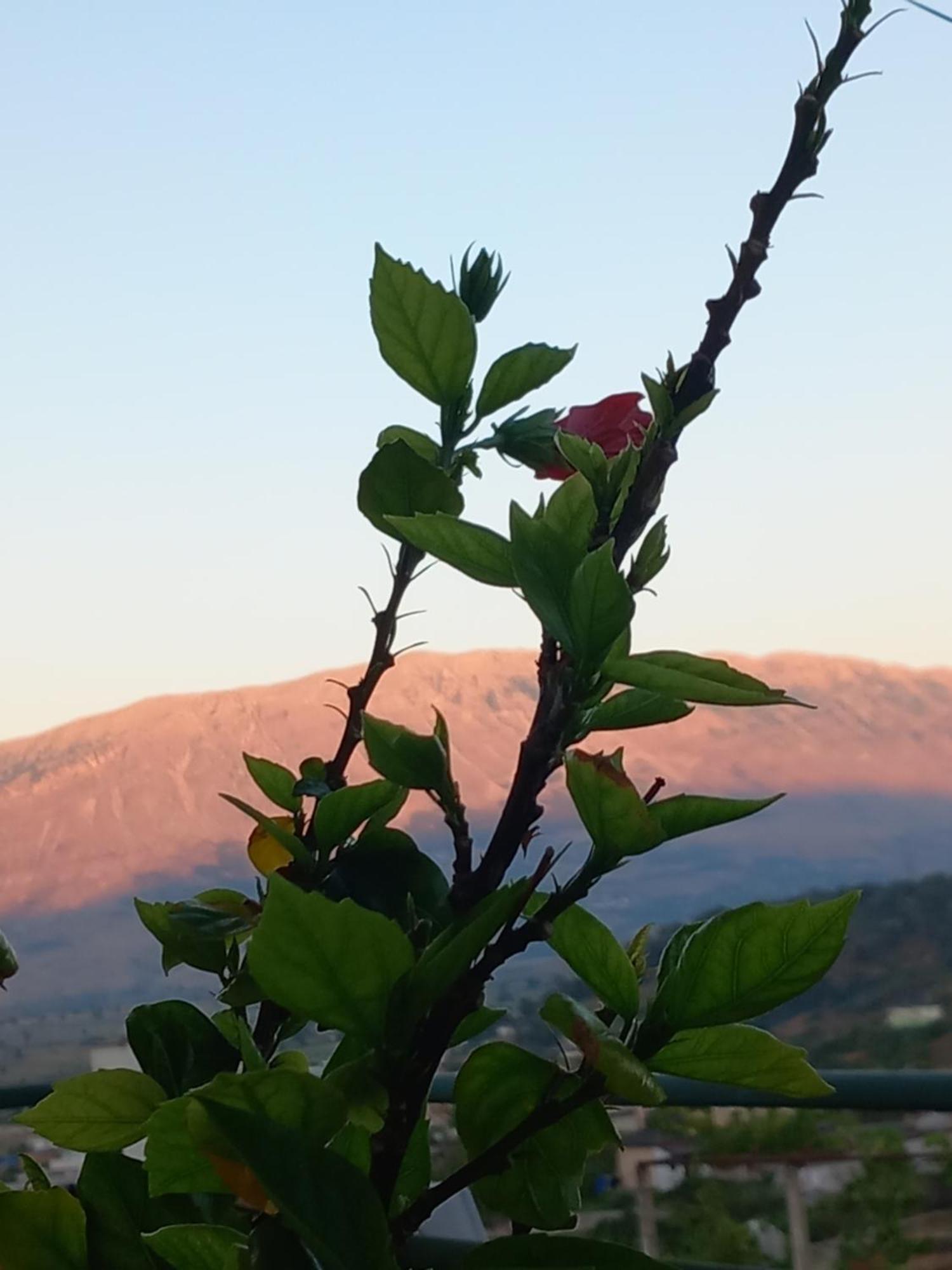 Gjirokastër Guesthousemantho מראה חיצוני תמונה